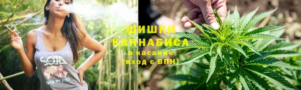 PSILOCYBIN Богородск